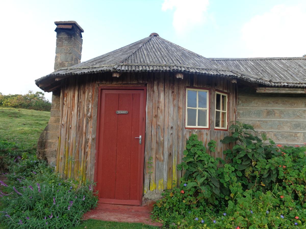 Castle Forest Lodge Mount Kenya National Park Dış mekan fotoğraf