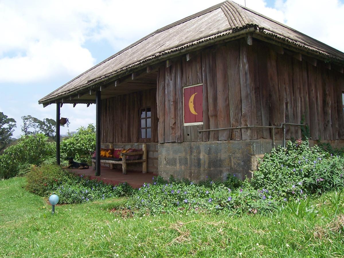 Castle Forest Lodge Mount Kenya National Park Dış mekan fotoğraf