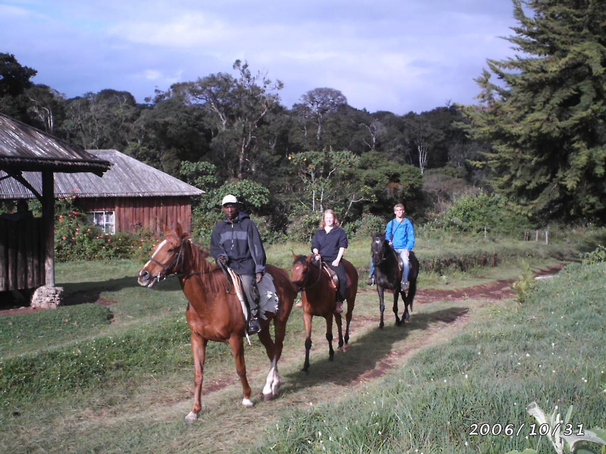 Castle Forest Lodge Mount Kenya National Park Dış mekan fotoğraf