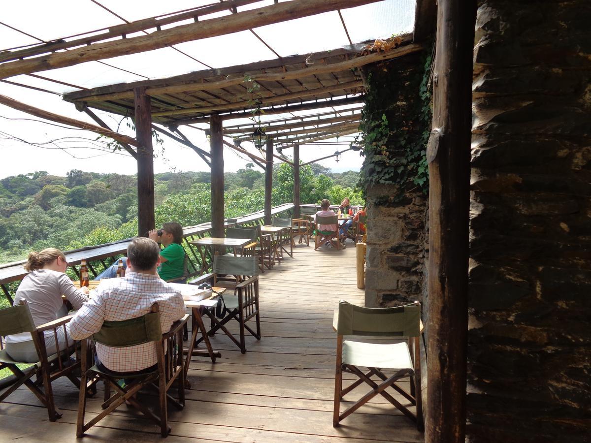 Castle Forest Lodge Mount Kenya National Park Dış mekan fotoğraf