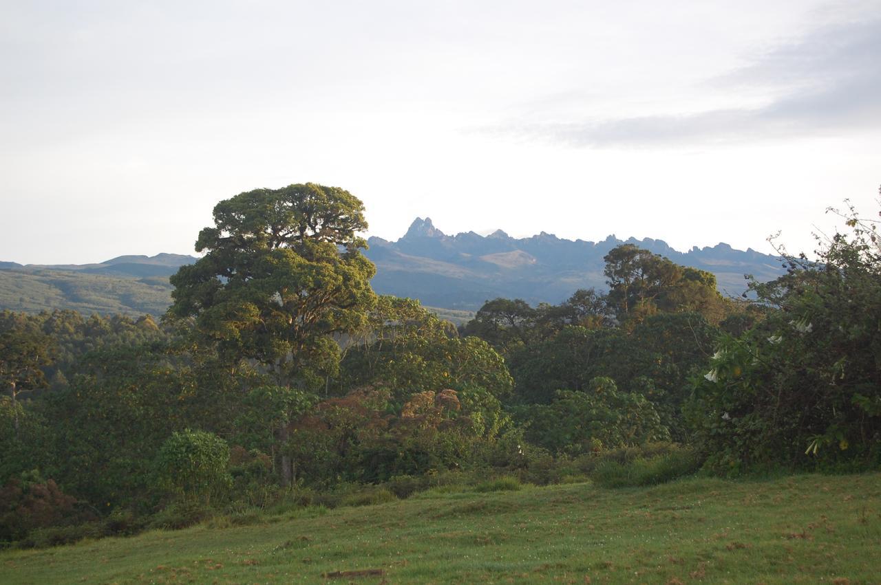 Castle Forest Lodge Mount Kenya National Park Dış mekan fotoğraf