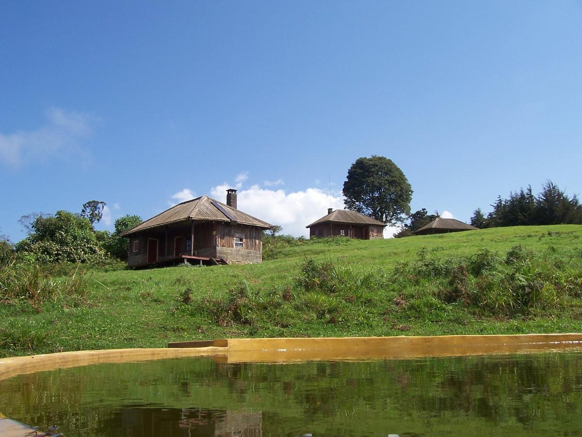 Castle Forest Lodge Mount Kenya National Park Dış mekan fotoğraf