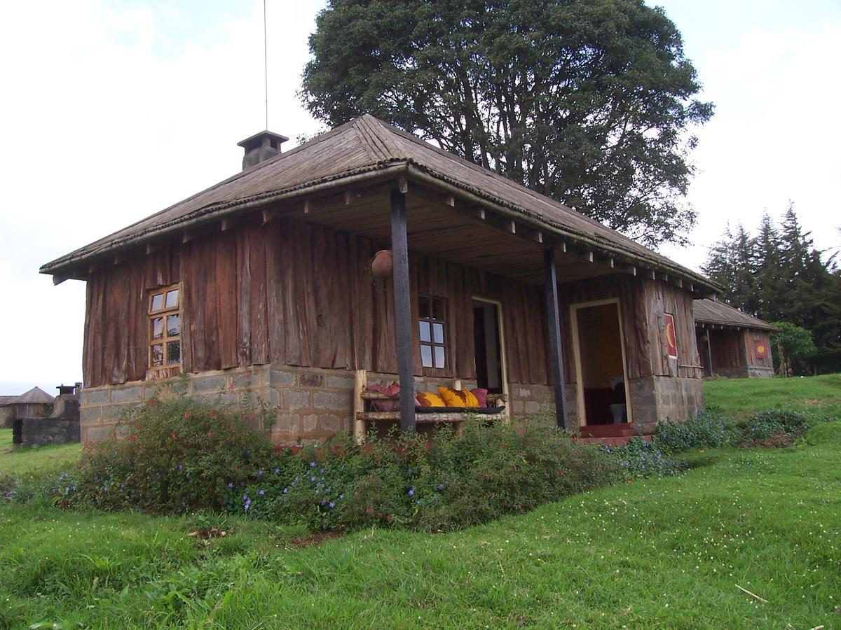 Castle Forest Lodge Mount Kenya National Park Dış mekan fotoğraf