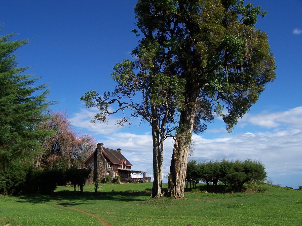 Castle Forest Lodge Mount Kenya National Park Dış mekan fotoğraf