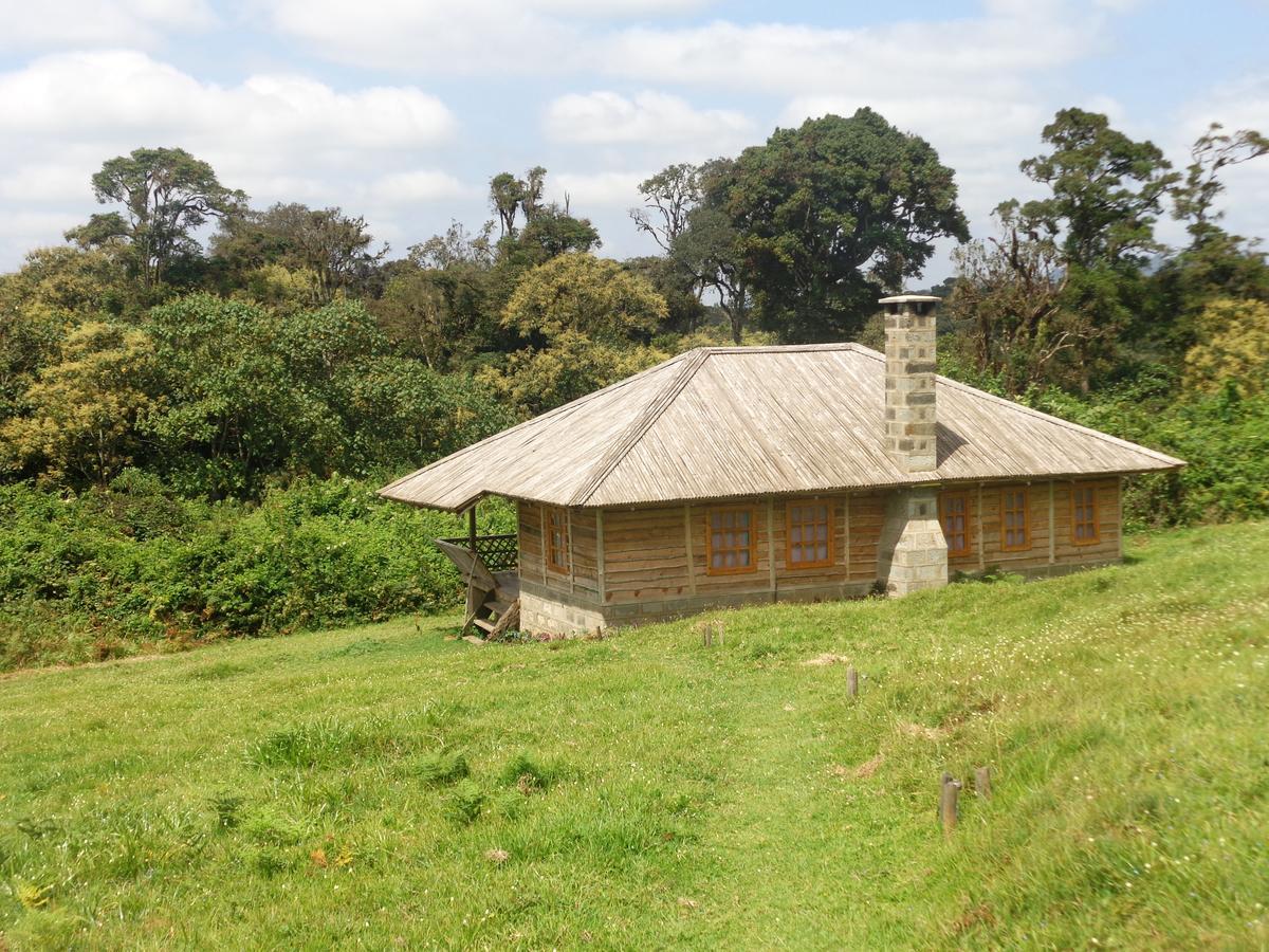 Castle Forest Lodge Mount Kenya National Park Dış mekan fotoğraf