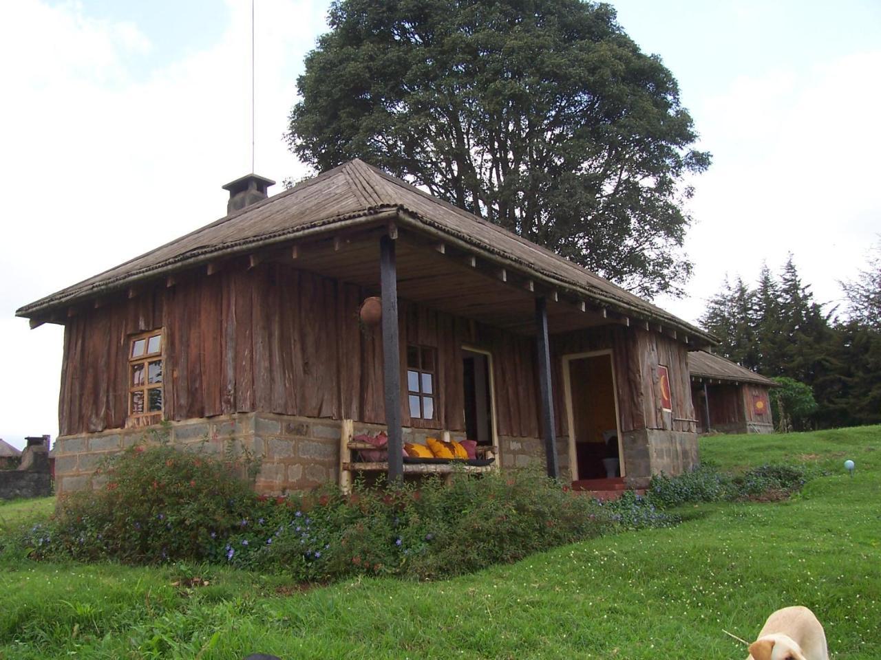 Castle Forest Lodge Mount Kenya National Park Dış mekan fotoğraf